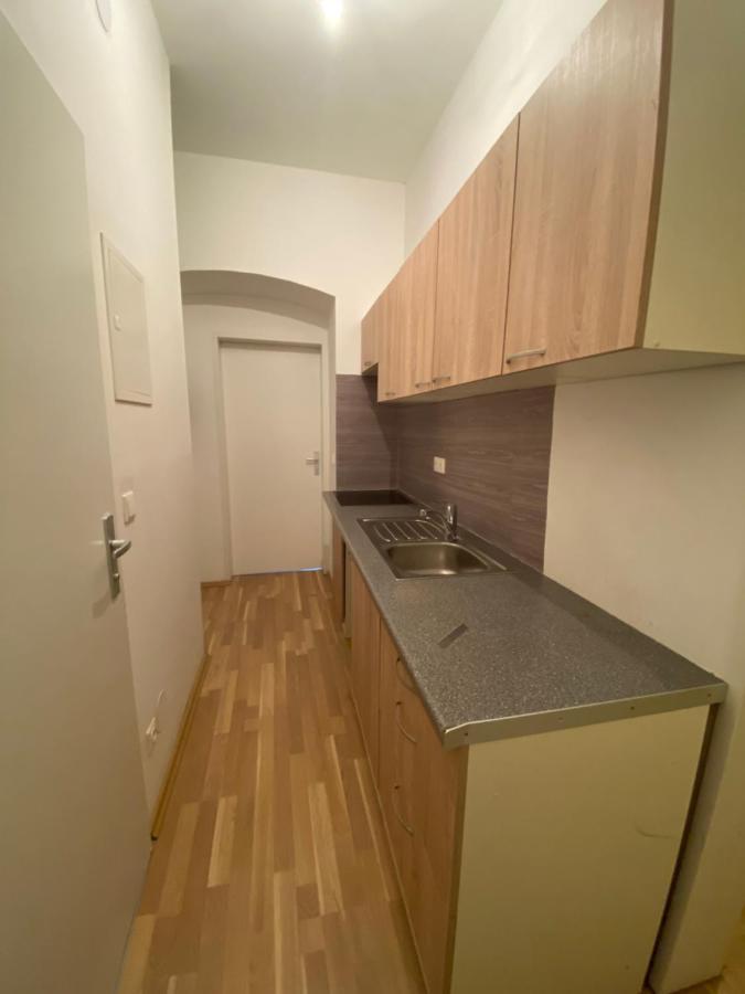 Niceapartmenthollergasse 8 Wien Eksteriør bilde